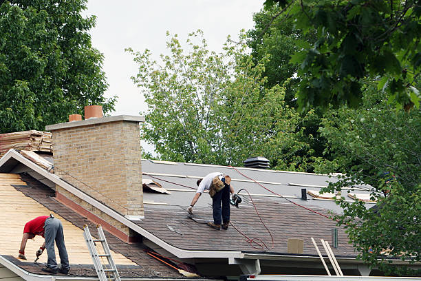 Best Gutter Installation and Roofing  in La Marque, TX