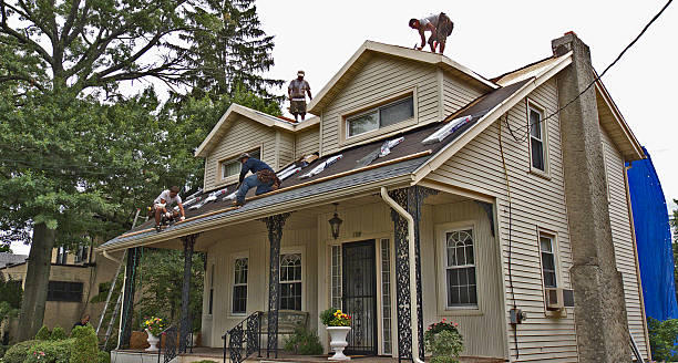 Best Roof Gutter Cleaning  in La Marque, TX